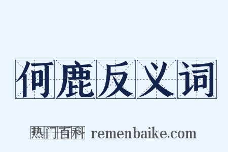 何鹿反义词是什么意思的图片